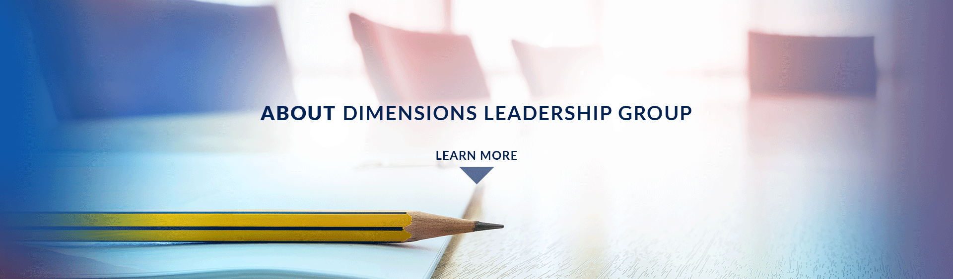 Learn more about Dimensions Leadership Group